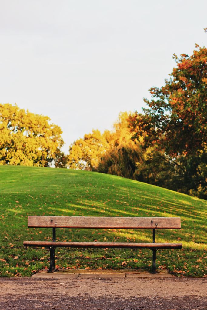 A wooden bench sitting in the middle of a public park, with green grass and trees in the background.